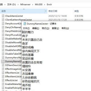 传奇版本DummyNameList文件假人名字配置说明